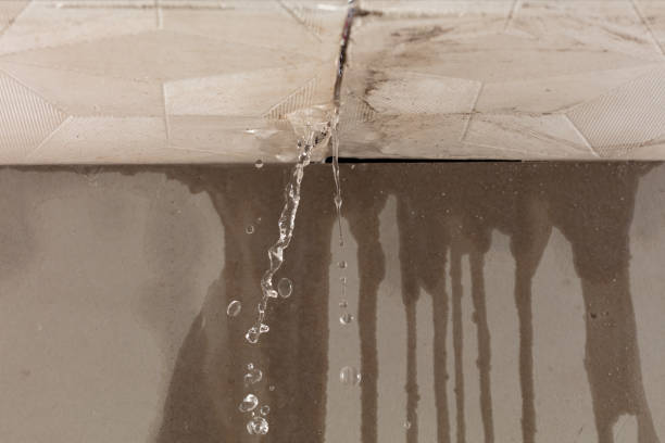 Professional Water Damage Inspection technician working in Portsmouth, RI